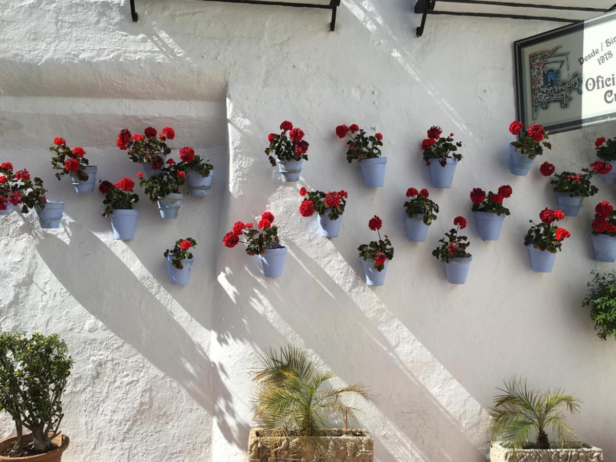 Paris Dream - Torremolinos Apartment Luaran gambar